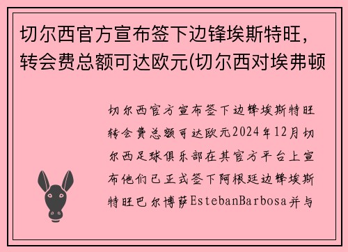 切尔西官方宣布签下边锋埃斯特旺，转会费总额可达欧元(切尔西对埃弗顿比赛结果)