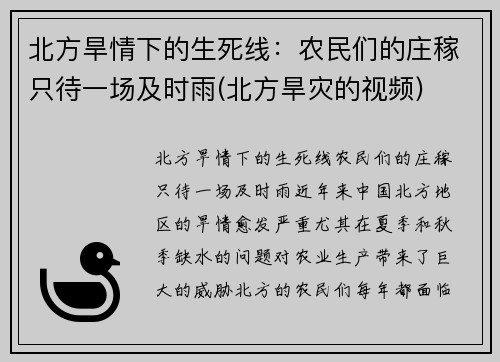 北方旱情下的生死线：农民们的庄稼只待一场及时雨(北方旱灾的视频)