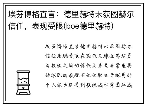 埃芬博格直言：德里赫特未获图赫尔信任，表现受限(boe德里赫特)